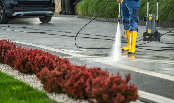 Best Dumpster Area Cleaning  in Tonawanda, NY